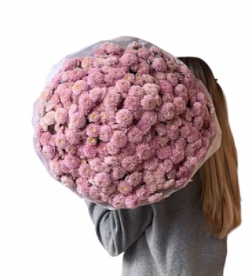 Gz Alc Zarafetin Simgesi